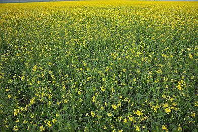 《舞力全开2022》今日发售 官方发布完整歌单预告片