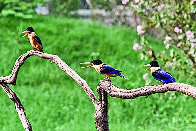 异星逃匿，惊骇求生 次世代恐怖游戏《木卫四协议》今日上线！